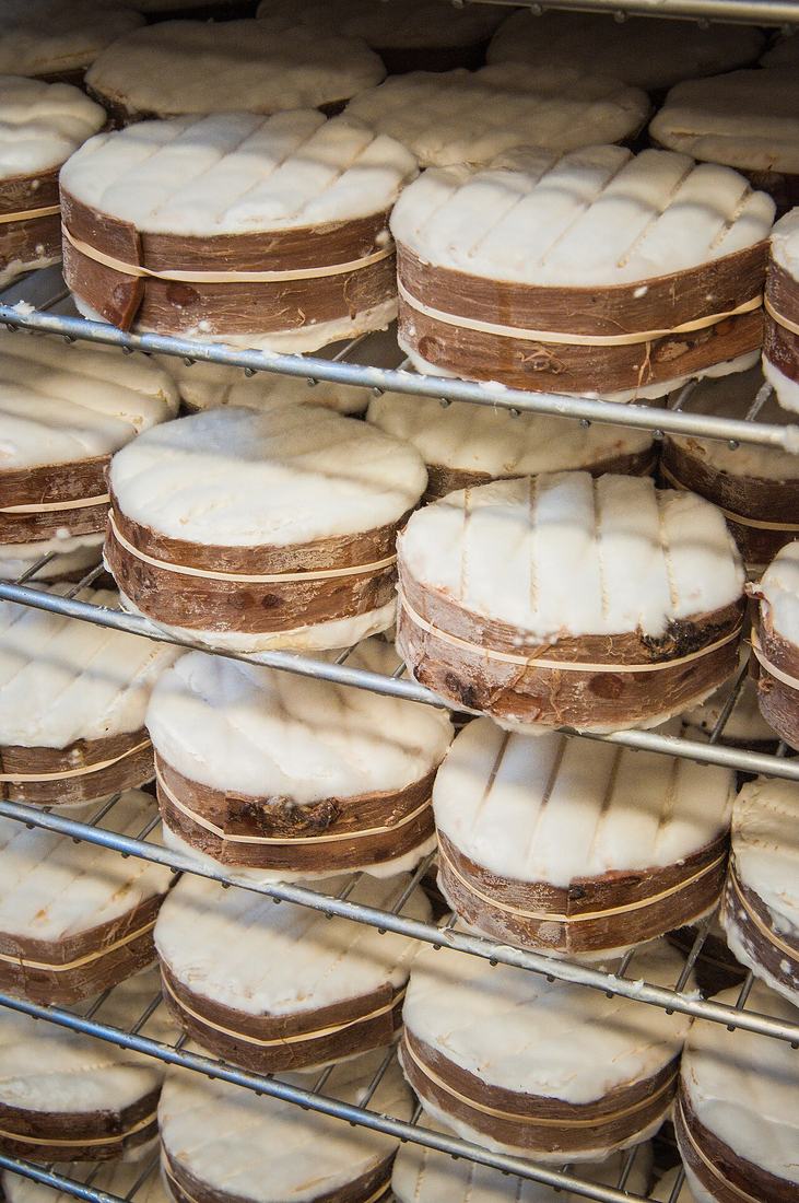 Wheels of cheese aging on racks, Public domain