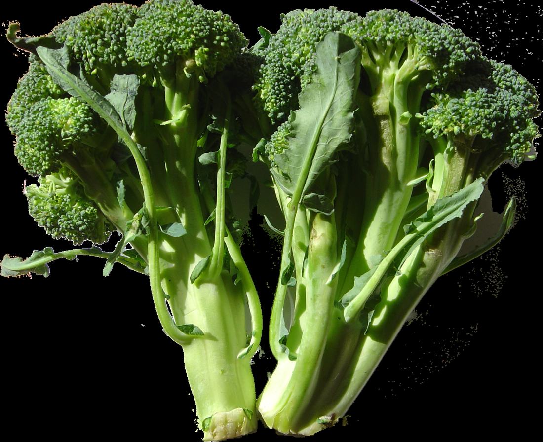 A head of broccoli, CC BY-SA 3.0