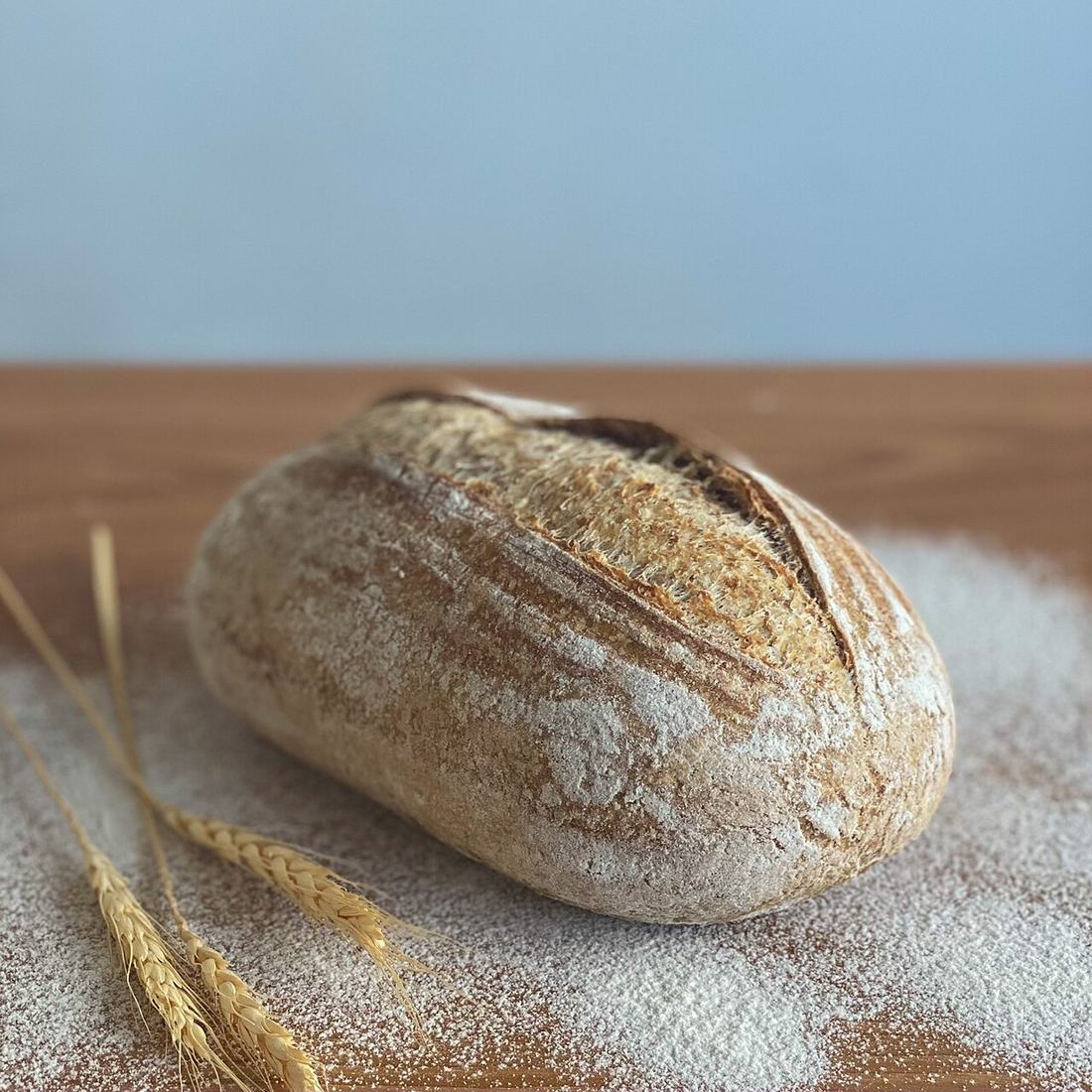 A loaf of whole wheat sourdough bread, CC BY-SA 4.0