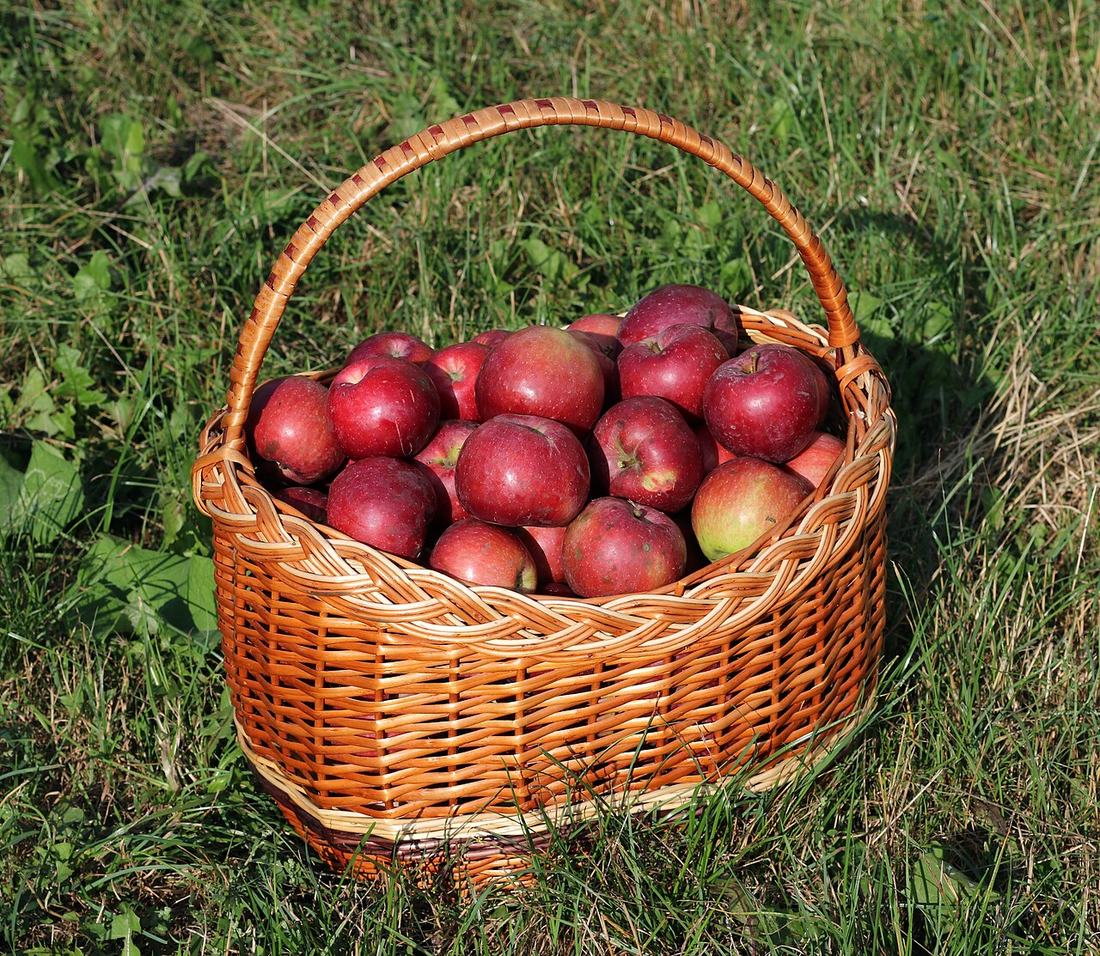 Apples in a basket, Public domain