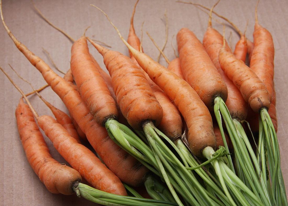 A bunch of carrots, GFDL 1.2