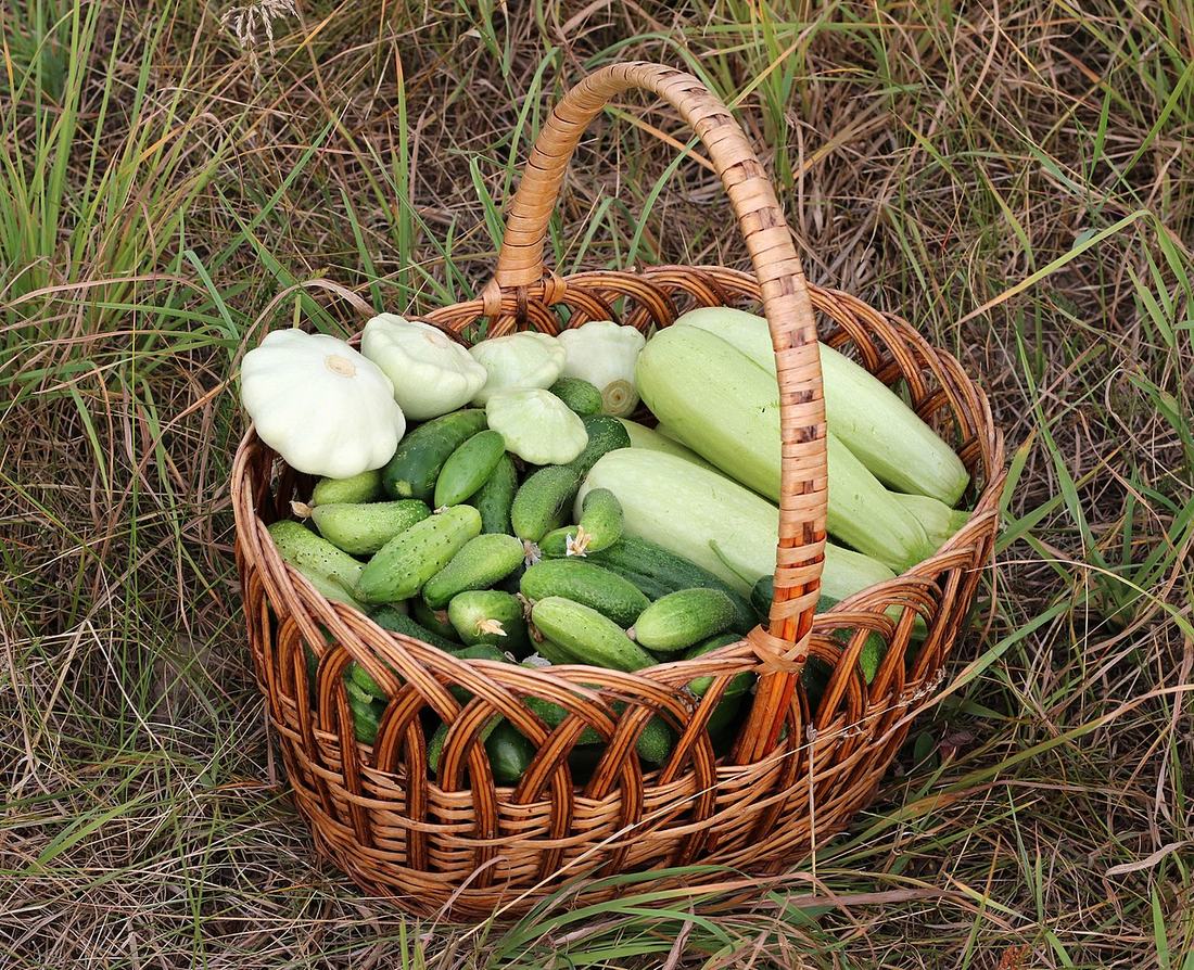 A basket of vegetables, Public domain